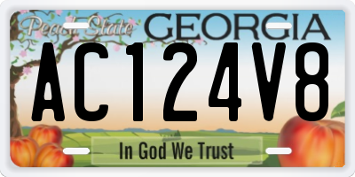 GA license plate AC124V8