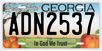 GA license plate ADN2537