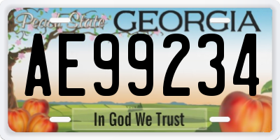 GA license plate AE99234