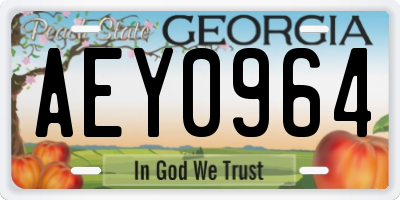 GA license plate AEY0964