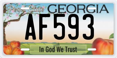 GA license plate AF593