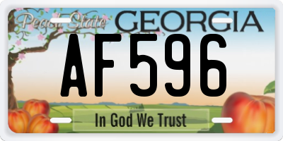 GA license plate AF596