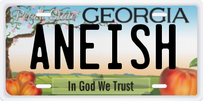 GA license plate ANEISH