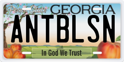 GA license plate ANTBLSN