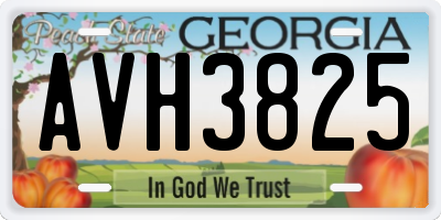 GA license plate AVH3825