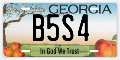 GA license plate B5S4