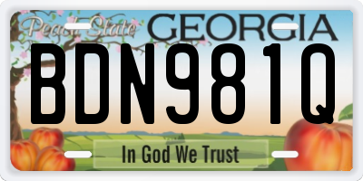 GA license plate BDN981Q