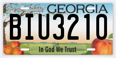 GA license plate BIU3210