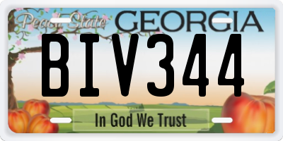 GA license plate BIV344