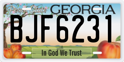 GA license plate BJF6231