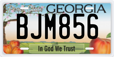 GA license plate BJM856