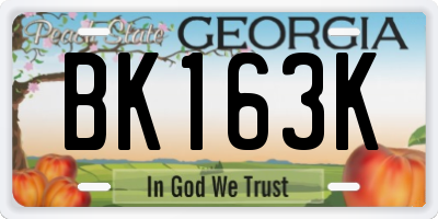 GA license plate BK163K