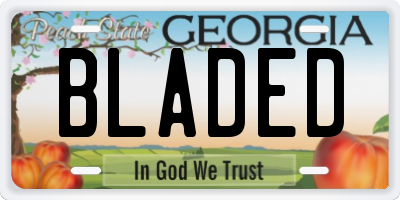 GA license plate BLADED