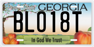 GA license plate BLO18T