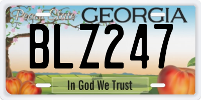 GA license plate BLZ247