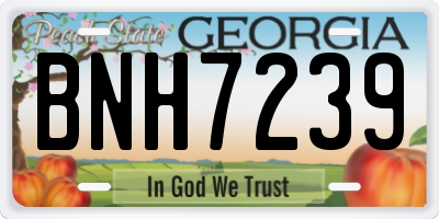 GA license plate BNH7239