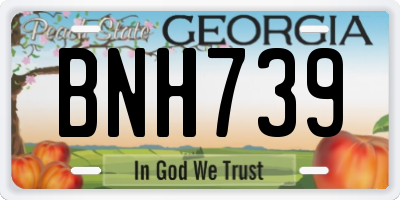 GA license plate BNH739