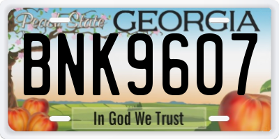 GA license plate BNK9607