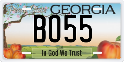 GA license plate BO55