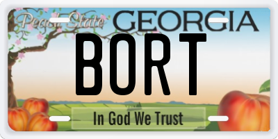 GA license plate BORT