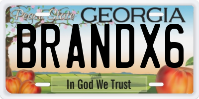 GA license plate BRANDX6