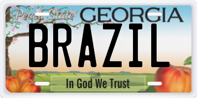 GA license plate BRAZIL