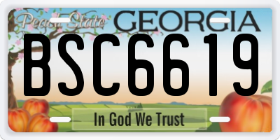 GA license plate BSC6619