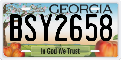 GA license plate BSY2658