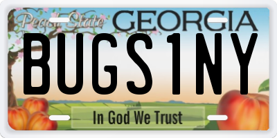 GA license plate BUGS1NY