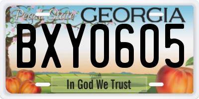 GA license plate BXY0605