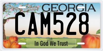 GA license plate CAM528