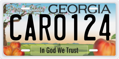 GA license plate CAR0124