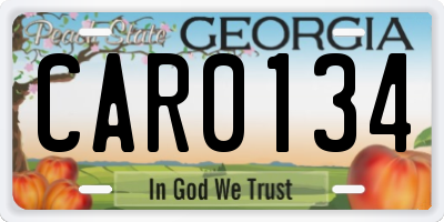 GA license plate CAR0134