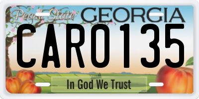 GA license plate CAR0135