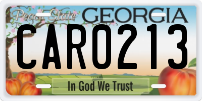 GA license plate CAR0213