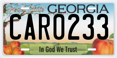 GA license plate CAR0233