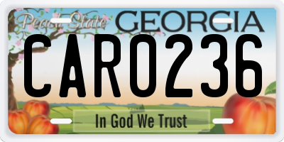 GA license plate CAR0236