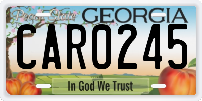 GA license plate CAR0245