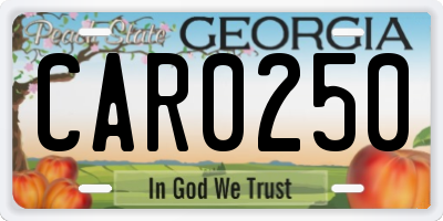 GA license plate CAR0250