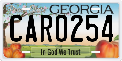 GA license plate CAR0254