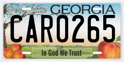 GA license plate CAR0265