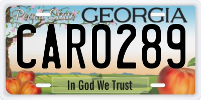 GA license plate CAR0289