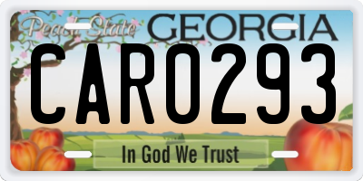 GA license plate CAR0293