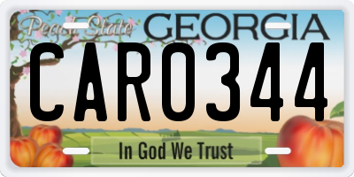 GA license plate CAR0344