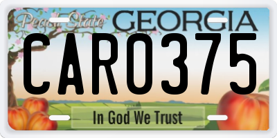 GA license plate CAR0375