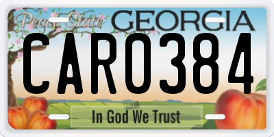GA license plate CAR0384