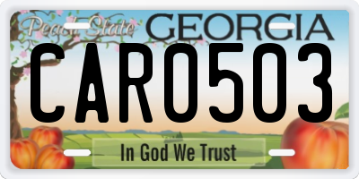 GA license plate CAR0503