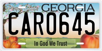 GA license plate CAR0645