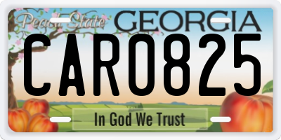 GA license plate CAR0825