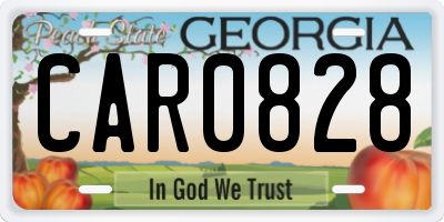 GA license plate CAR0828